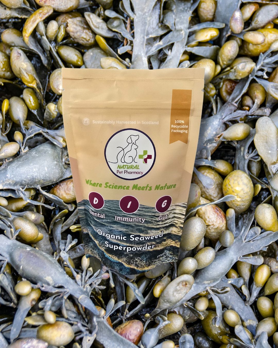 Organic Seaweed Superpowder for Dental, Immunity, Gut as well as Skin and Coat for pets. Human Grade.