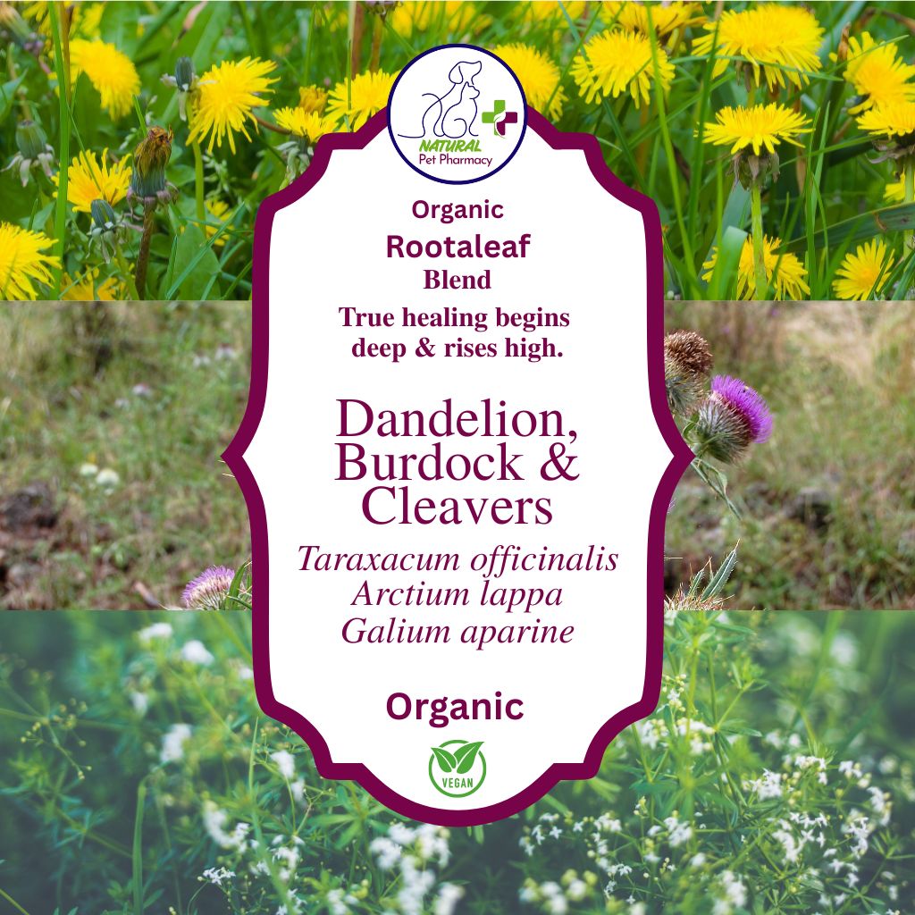 Rootaleaf - Dandelion, Burdock & Cleavers