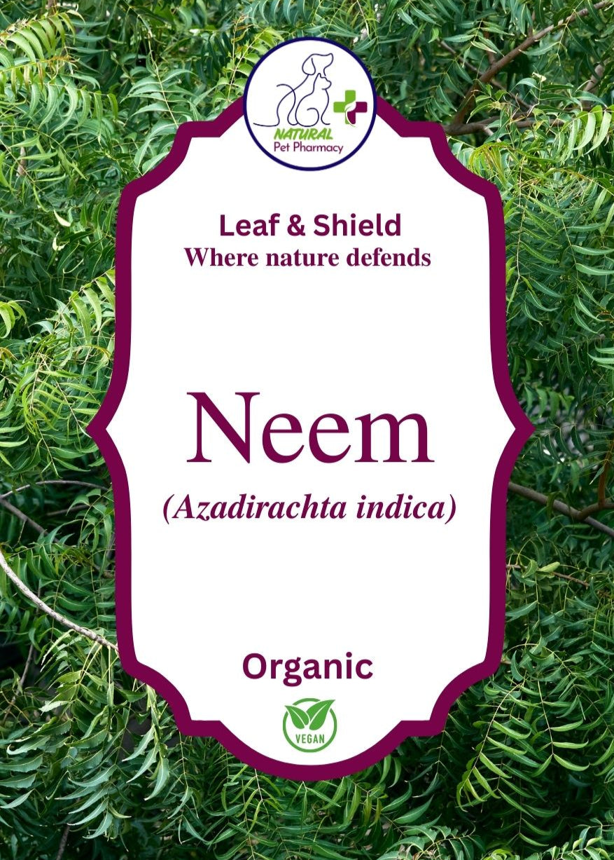Leaf & Shield, where nature defends. Organic Neem for dogs and horses. Parasite support, fleas and ticks and for itchy skin.