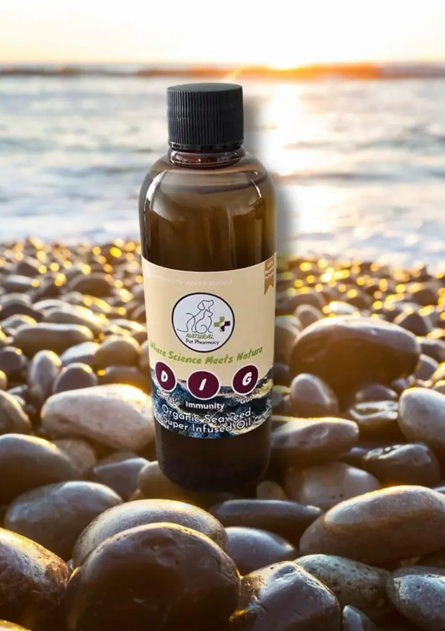 Seaweed Superfood Infused Organic Oil for Pets