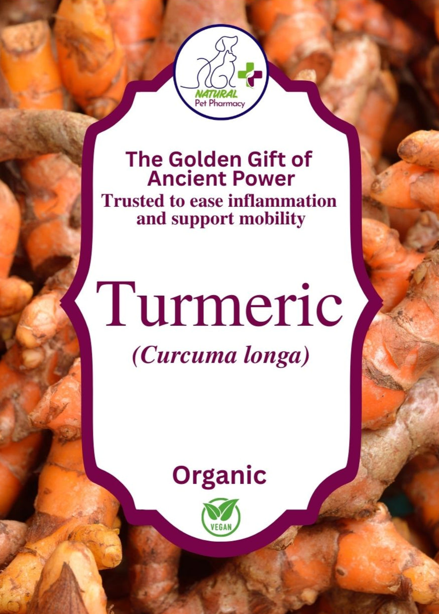 The Golden Gift of Ancient Power, trusted to ease inflammation and support mobility. Organic, human grade Turmeric.