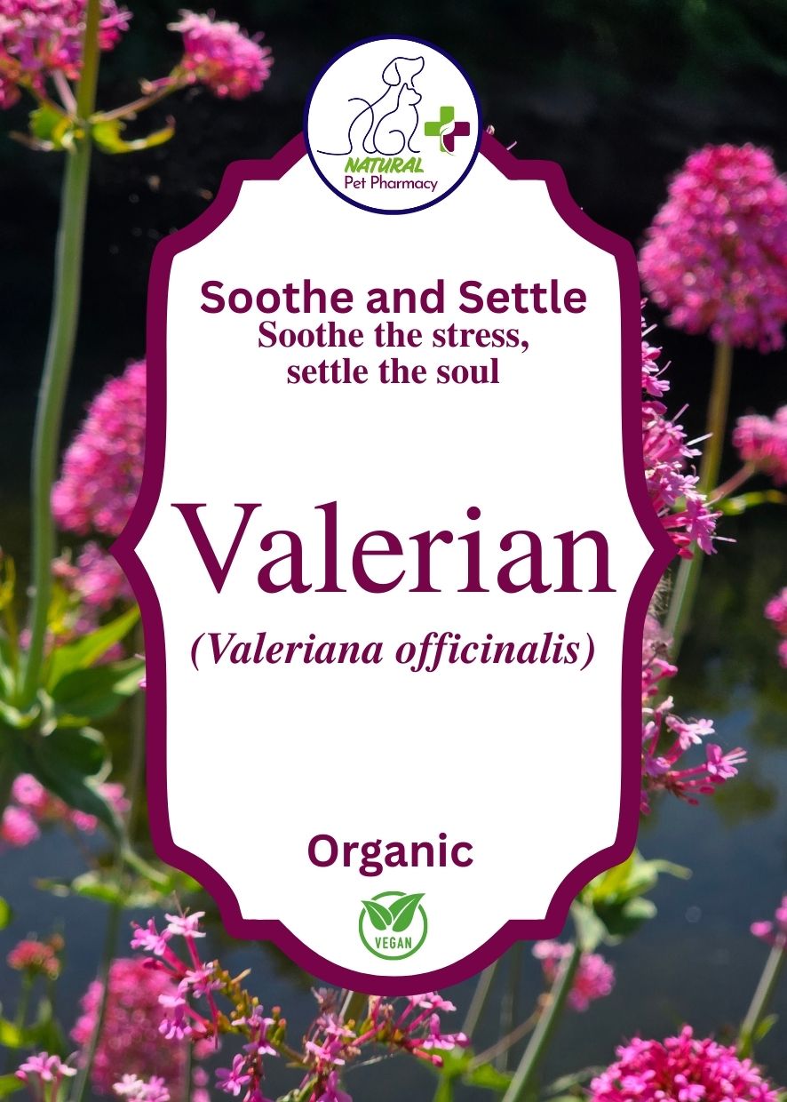 Soothe and Settle, soothe the stress, settle the soul. Organic, human grade.