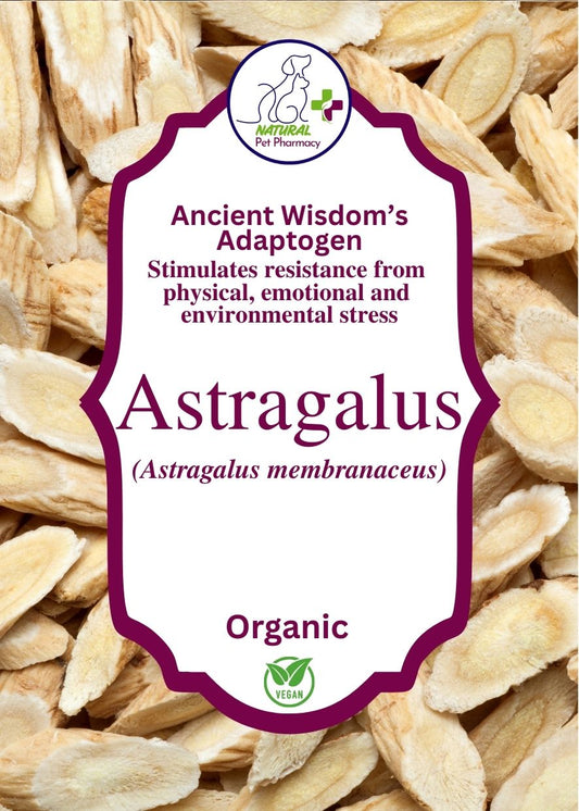 Astragalus an organic ancient adaptogen herb for immune support and to stimulate resistance from physical, emotional and environmental stress.