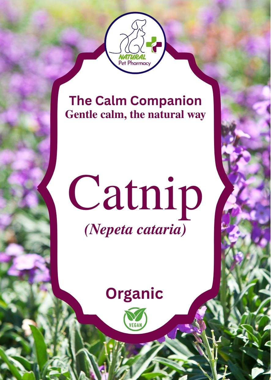 Catnip the Calm Companion, the natural way for cats & dogs.