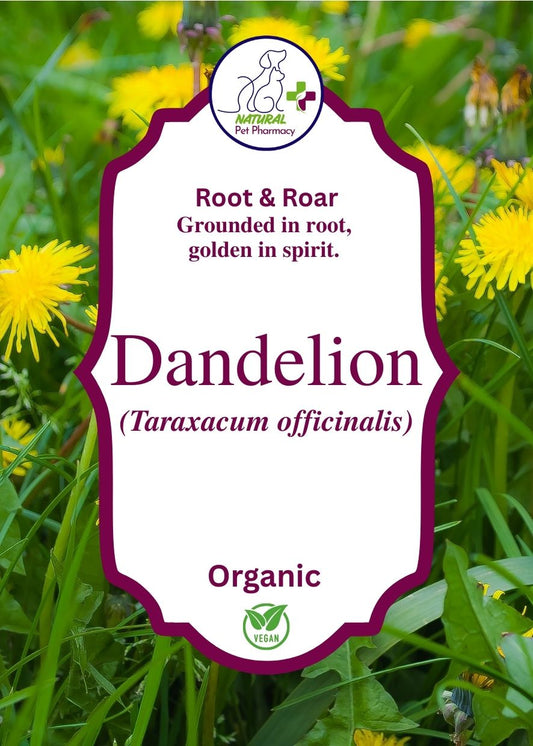 Dandelion root, grounded in root, golden in spirit for cats, dogs and horses. Supports liver and kidneys, digestion and acts as an anti-inflammatory.