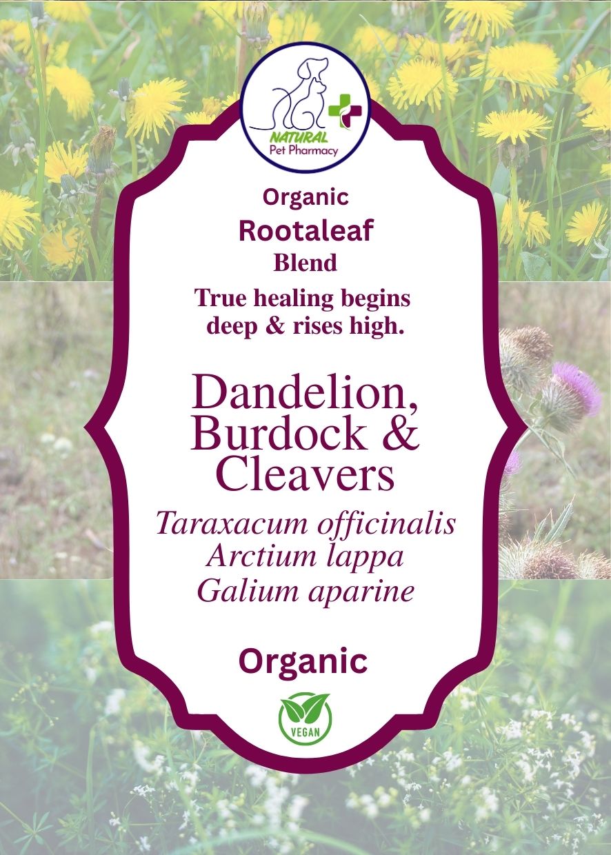Rootaleaf Blend  - true healing begins deep and rises high.  For liver and kidney support, detox and urinary health, digestion and skin.