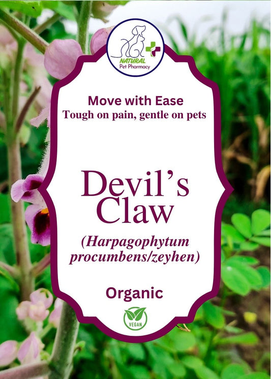 Move with Ease using Devil's Claw, suitable for ageing, or injured dogs and horses. Pain relief for joints and mobility. Suitable for human use.