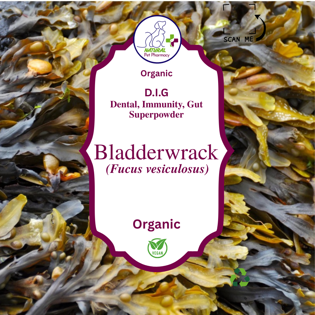 D.I.G Seaweed Superpowder