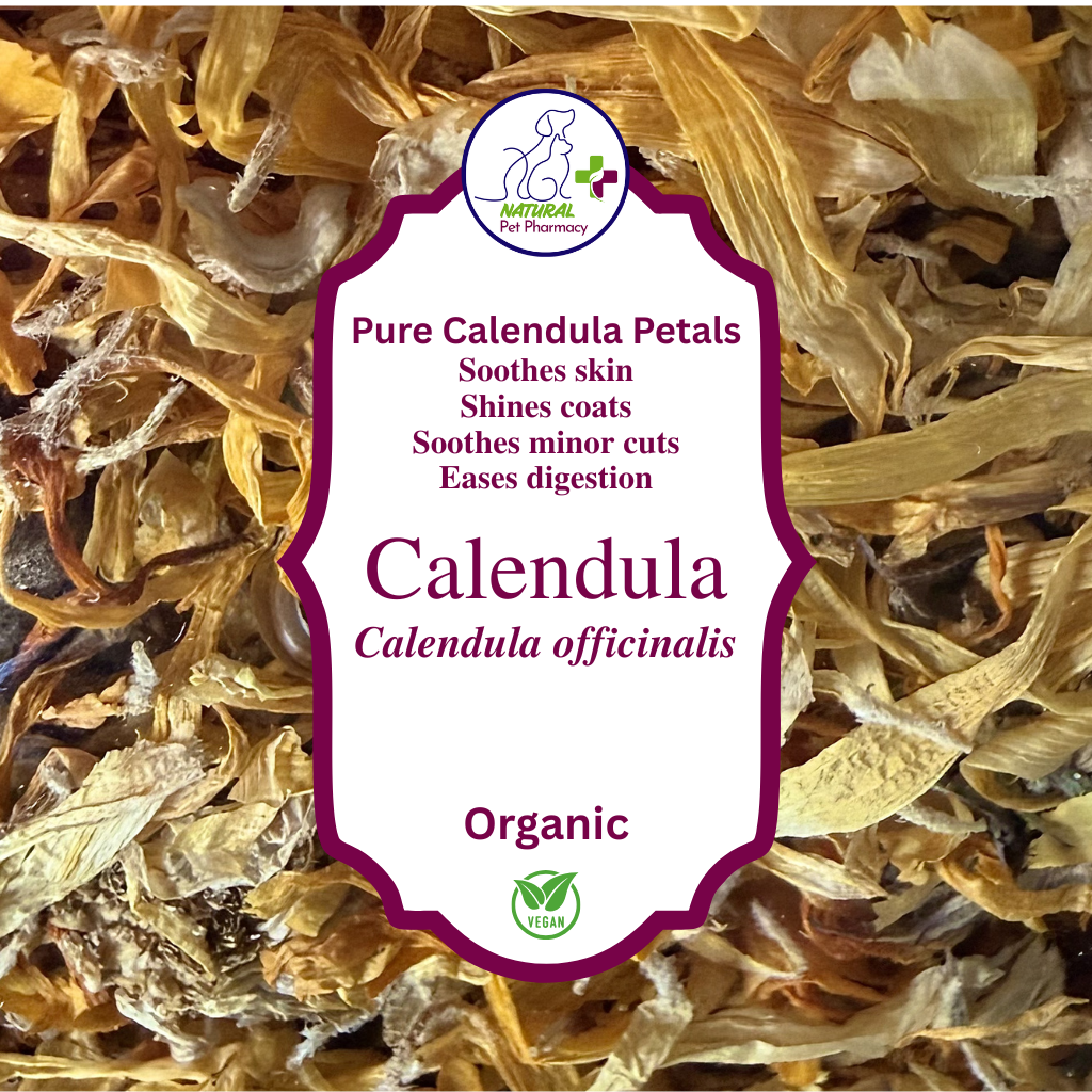Calendula