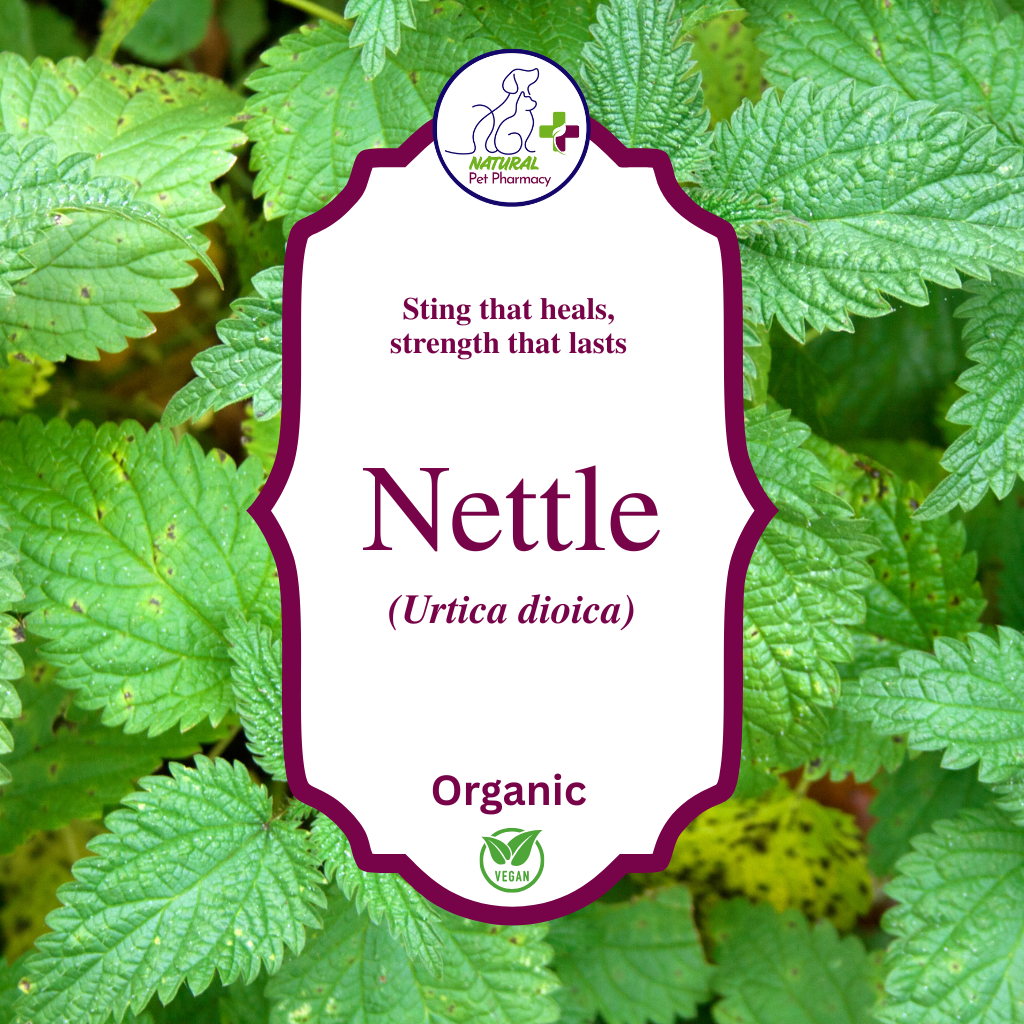 Nettle