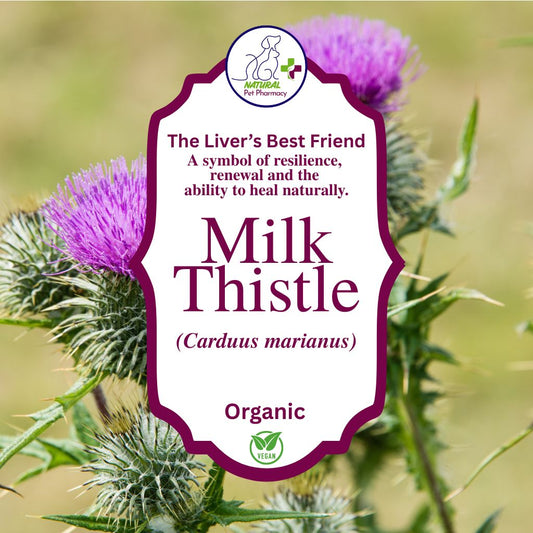 Milk Thistle