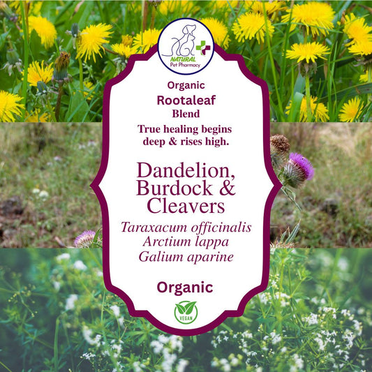 Rootaleaf - Dandelion, Burdock & Cleavers