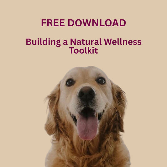 Building a Natural Wellness Toolkit for Dogs