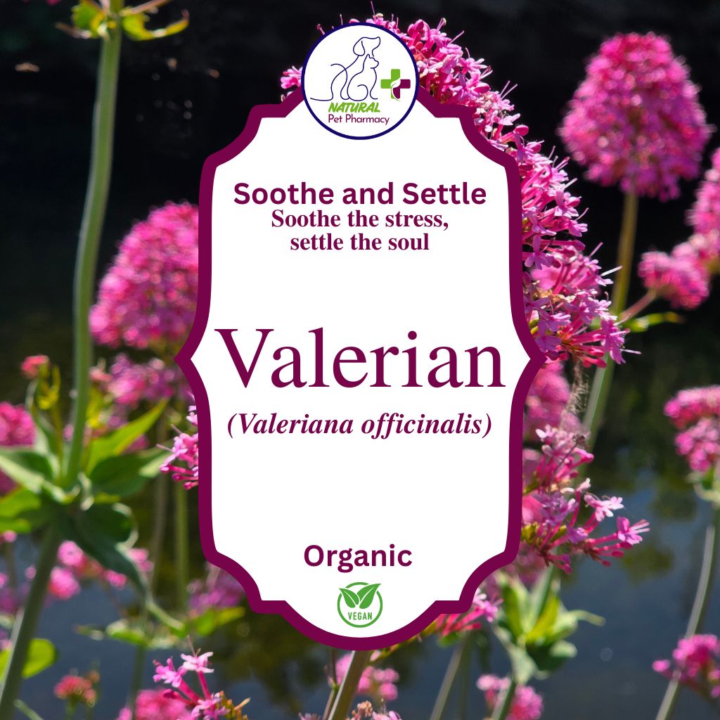 Valerian