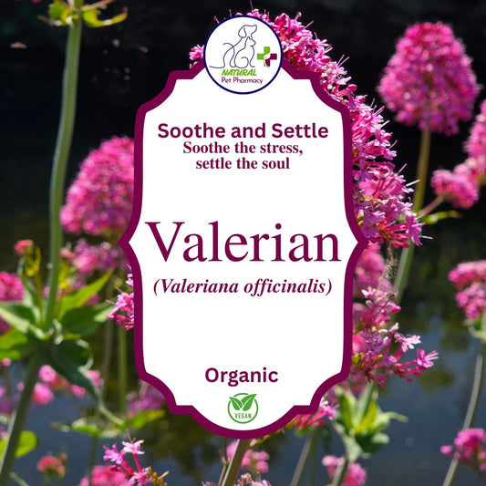 Valerian