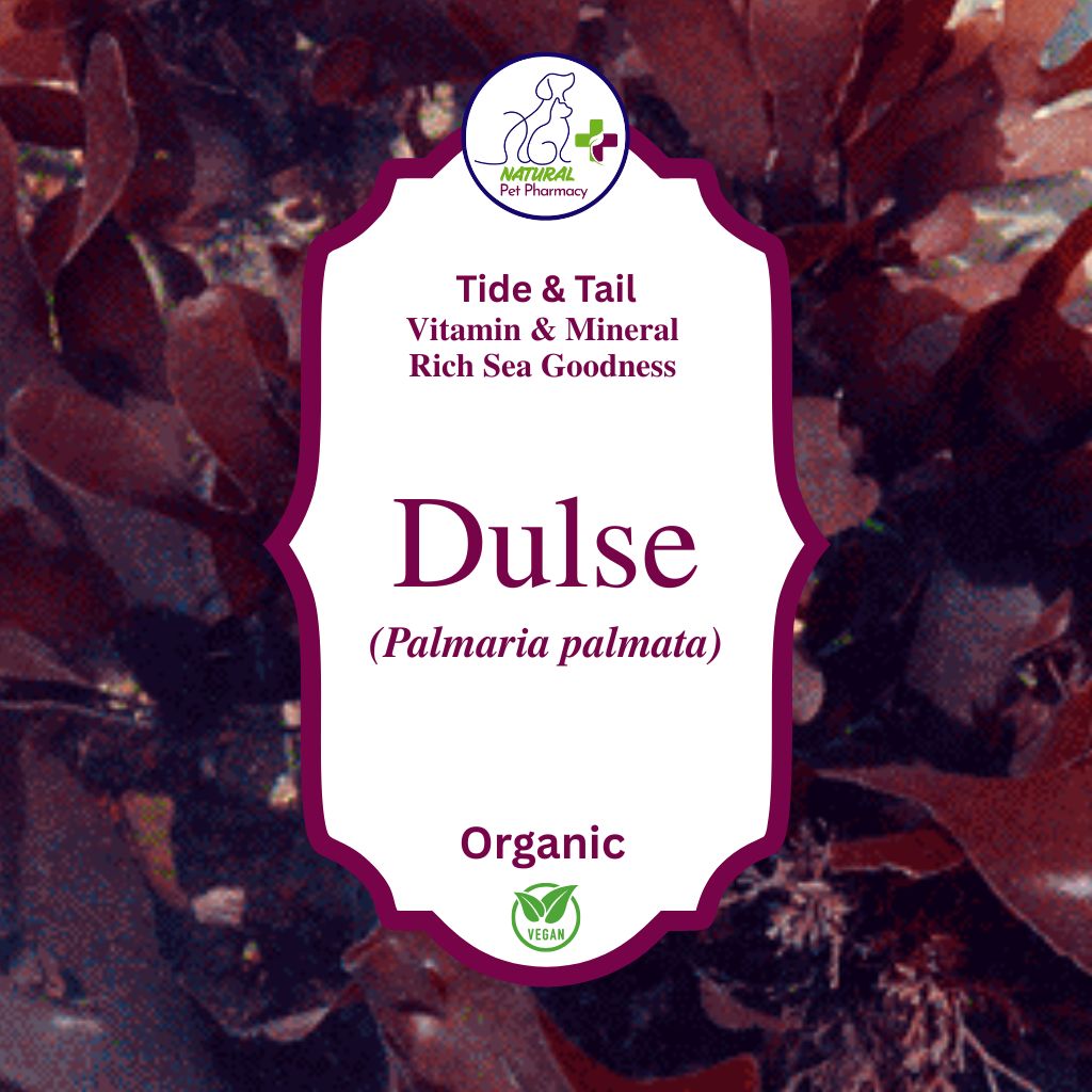 Dulse