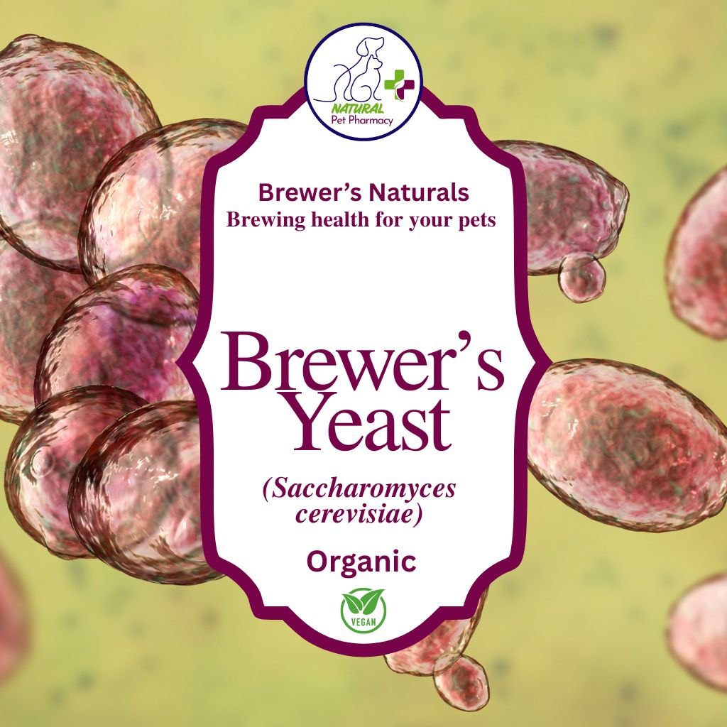 Brewer's Yeast