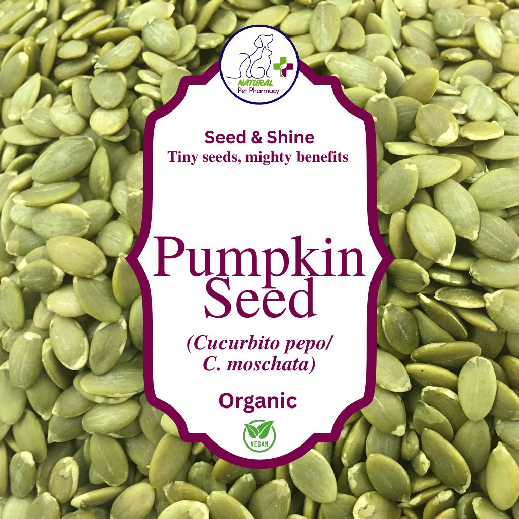 Pumpkin Seed Powder