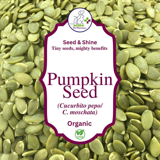 Pumpkin Seed Powder