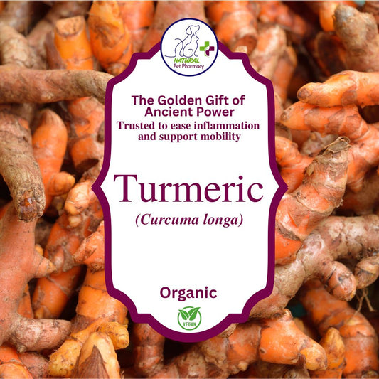 Turmeric