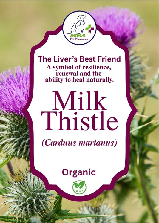 The Liver's Best Friend, a symbol of resilience, renewal and the ability to heal naturally. Organic and Human Grade.