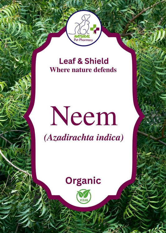 Leaf & Shield, where nature defends. Organic Neem for dogs and horses. Parasite support, fleas and ticks and for itchy skin. 