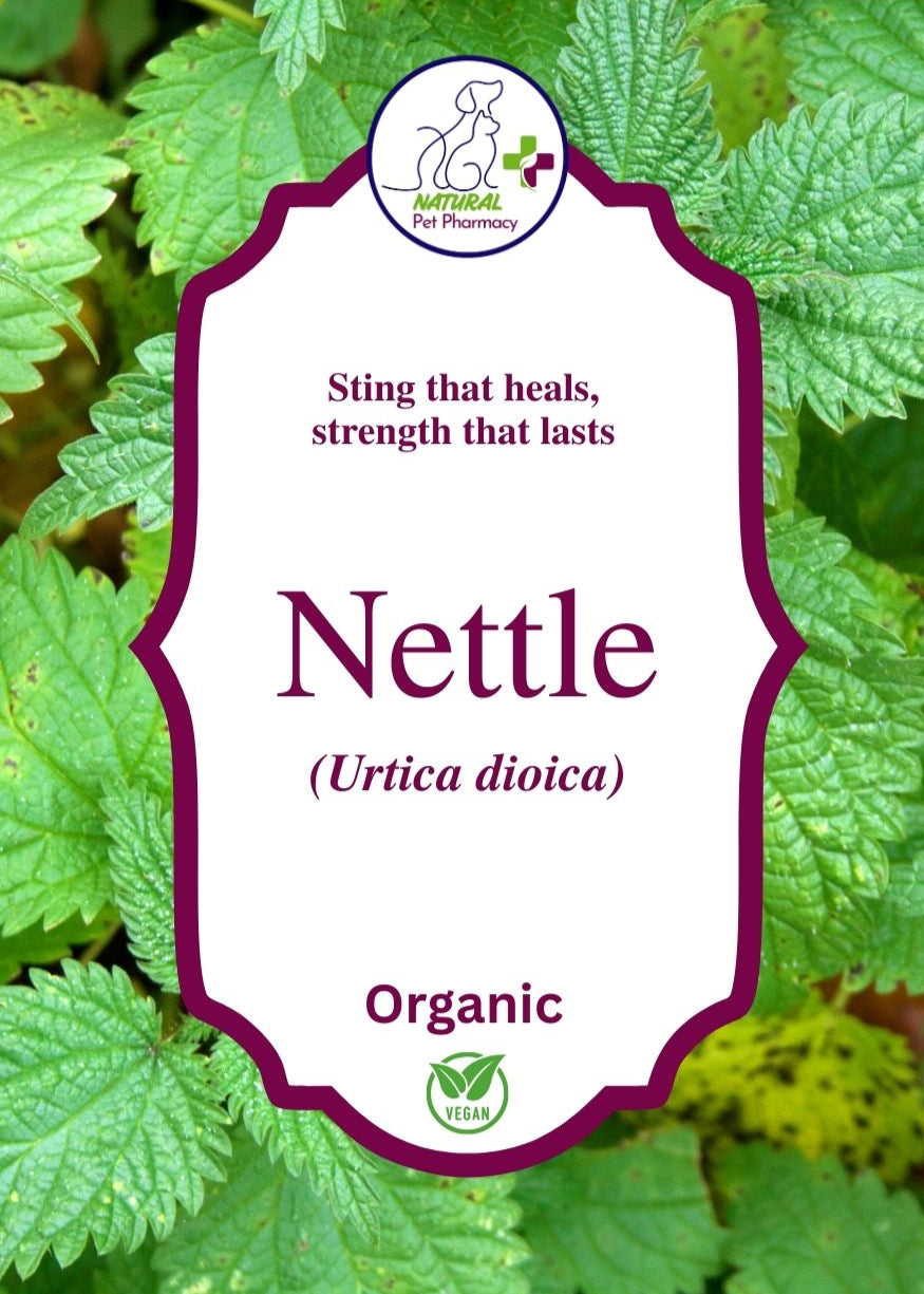 Nettle, the sting that heals, the strength that lasts. Organic. Human Grade for pets. A natural anti-histamine. For skin & coat. Kidney & urinary tract. Gentle Detox.