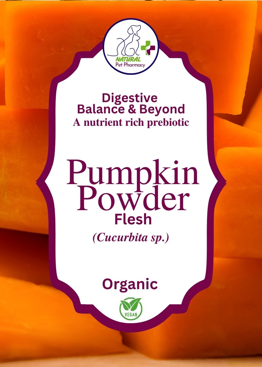 Pumpkin Powder, flesh. Digestive Balance & Beyond, a nutrient rich prebiotic. Organic for pets and human grade.