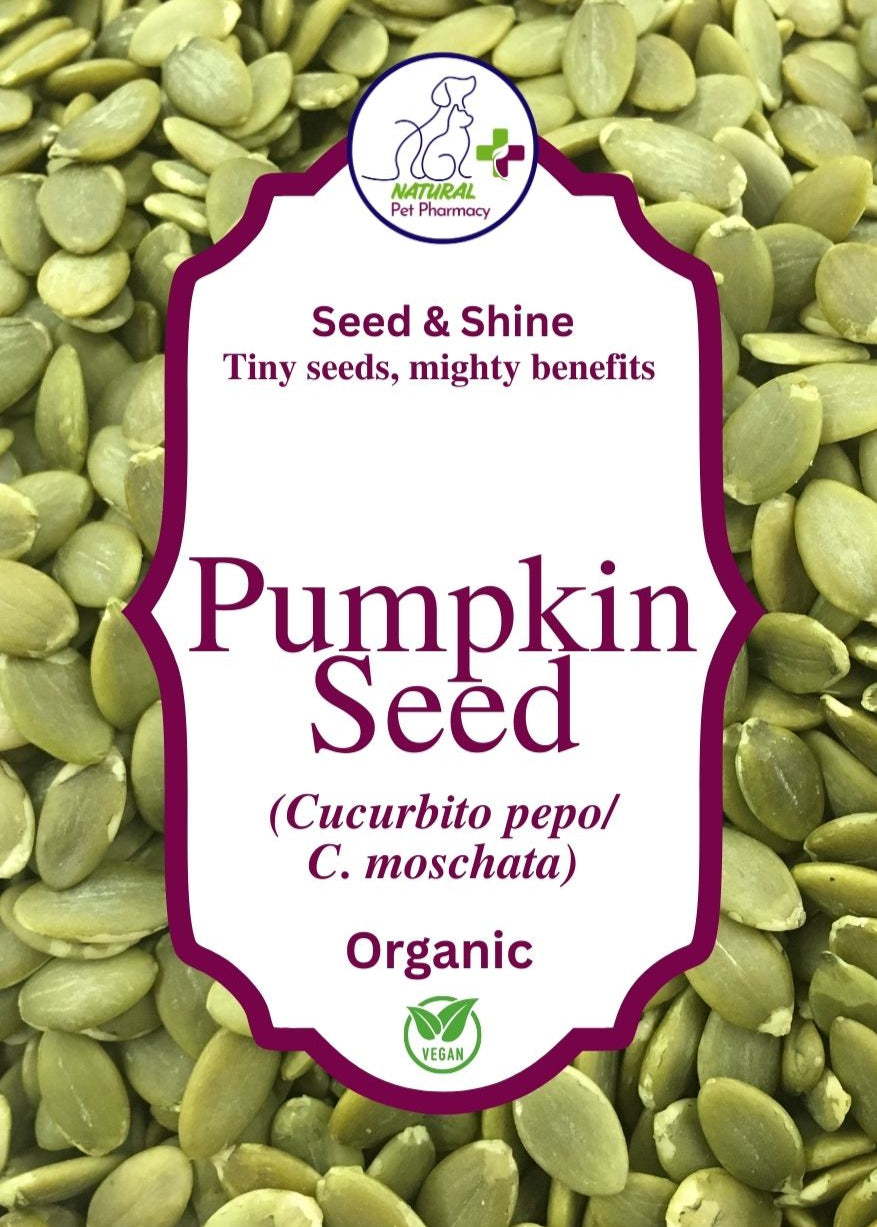 Seed & Shine, theses tiny seeds have mighty benefits for digestion and as a natural flea, tick and wormer. Nutrient dense, healthy fats, rich in fibre.